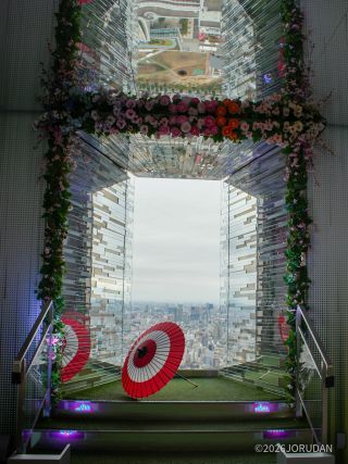 眼下には東京の街並みが