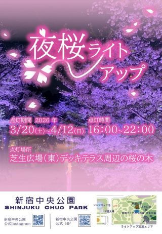 新宿中央公園 夜桜ライトアップ