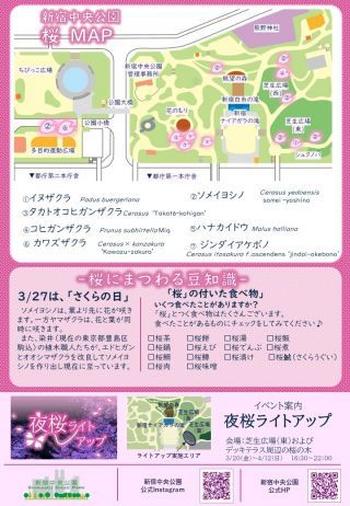 新宿中央公園 桜図鑑＆MAP②