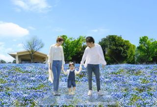 ネモフィラ花壇と芝生広場（イメージ）