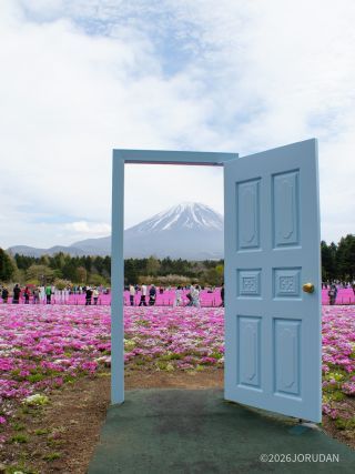 幸せへ続く扉、SNSでも大人気