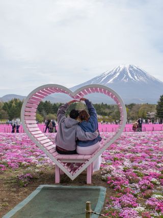 恋するハートのベンチで最高の思い出を