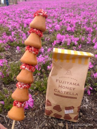 昨年いただいたふじやまハニーカステラ