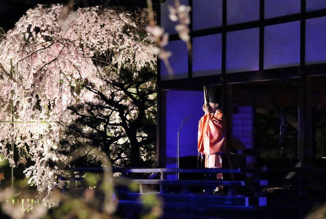 京都 平安神宮で紅しだれコンサート19開催 平成という時代を締めくくるコンサート実施 花見特集21