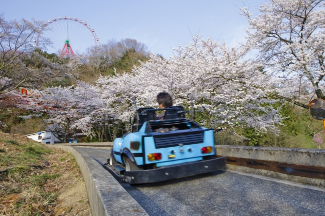 「F1カート」の“お花見ドライブ”