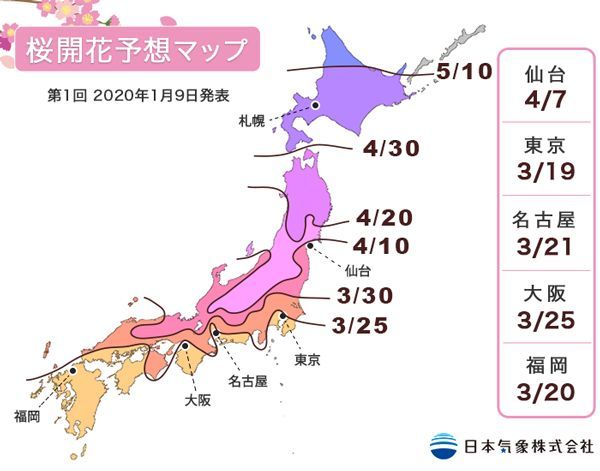 第1回 2020年桜開花予想マップ