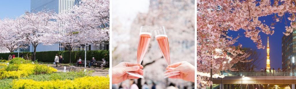 東京ミッドタウン 桜ライトアップやフラワーアートで春を祝う Midtown Blossom 開催 花見特集