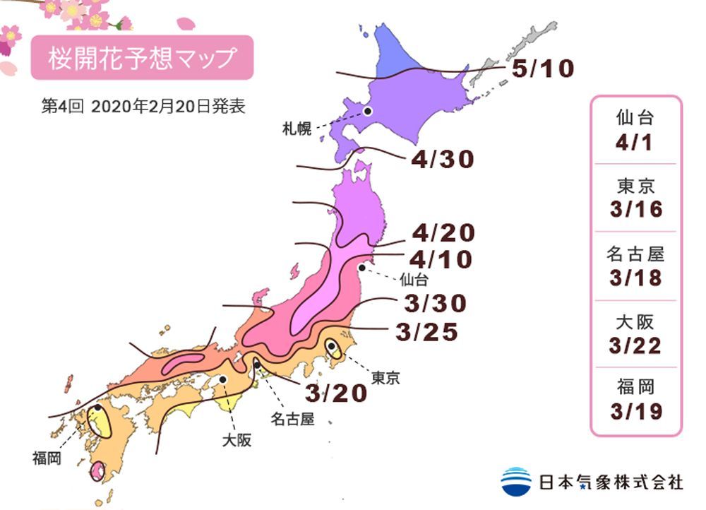 第4回 2020年桜開花予想マップ