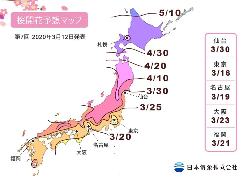第7回 2020年桜開花予想マップ