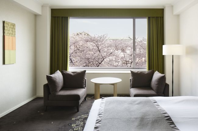 ザ・プリンス さくらタワー東京の客室から眺める日本庭園の桜