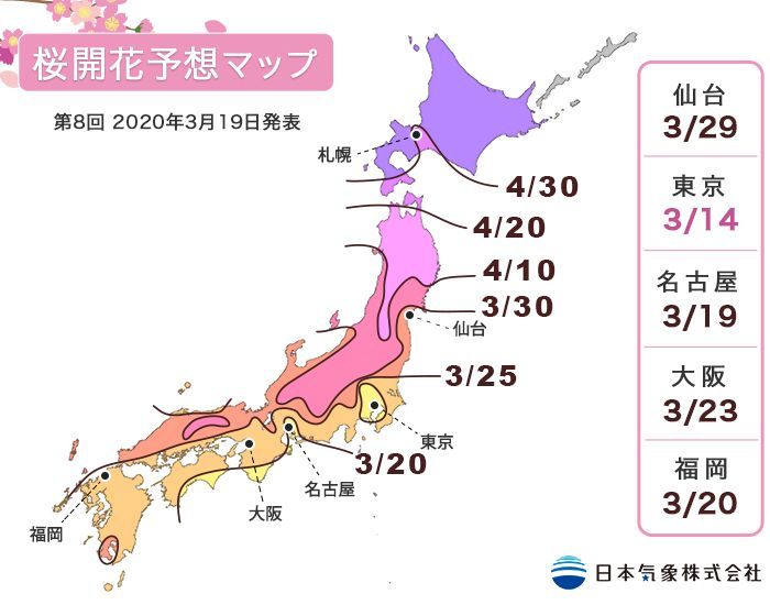 第8回 2020年桜開花予想マップ