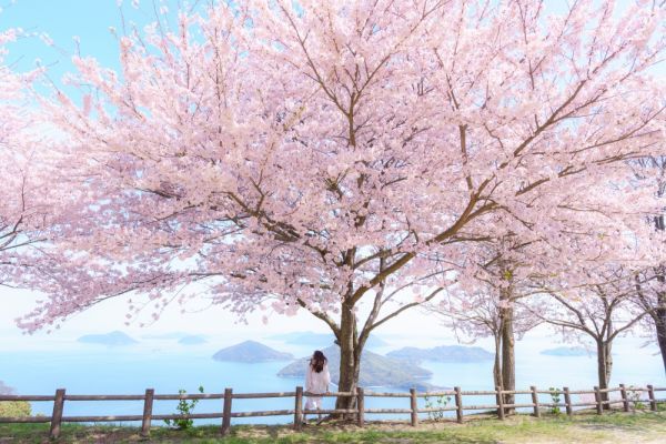 紫雲出山