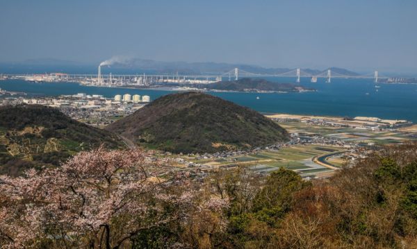 白峰園地展望台