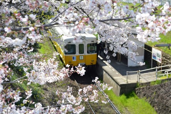 挿頭丘駅