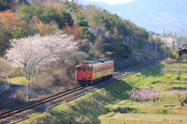 オレンジタウン駅