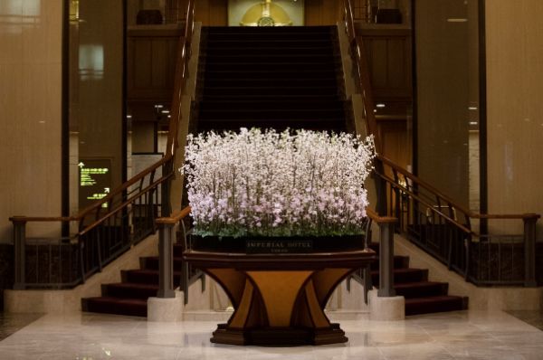 HIBIYA BLOSSOM 2022 in Imperial Hotel, Tokyo1