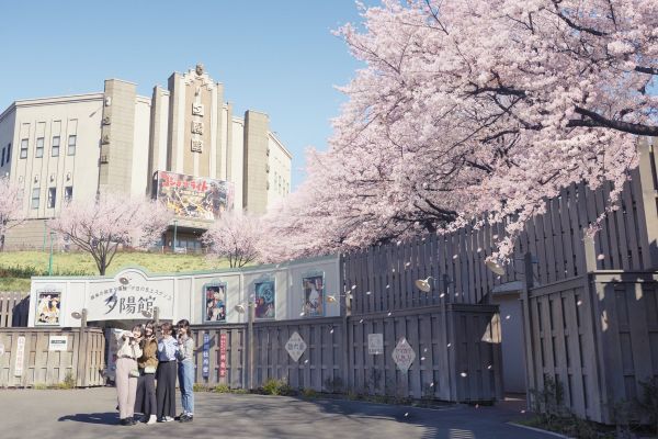 西武園ゆうえんちの桜※画像はイメージです