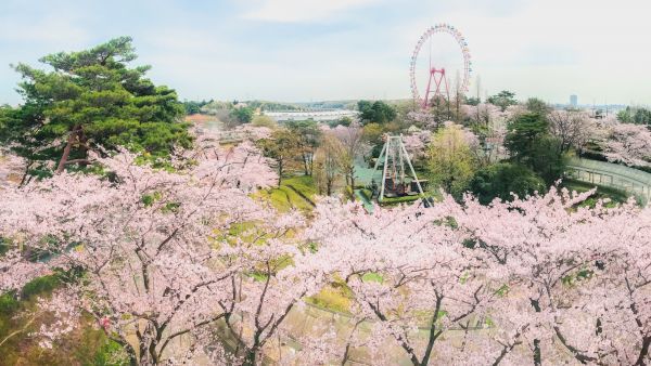 ※画像は2017年に撮影されたものです