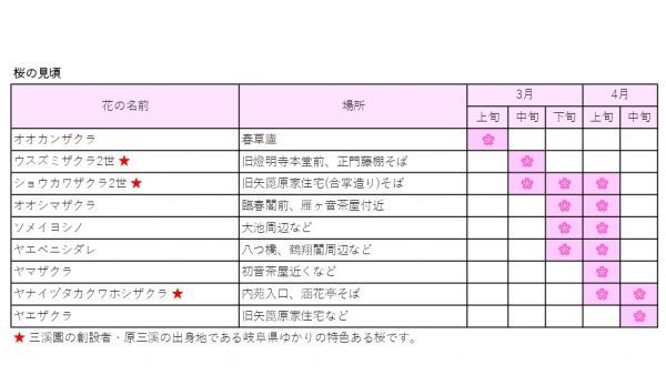 三溪園の桜見頃表