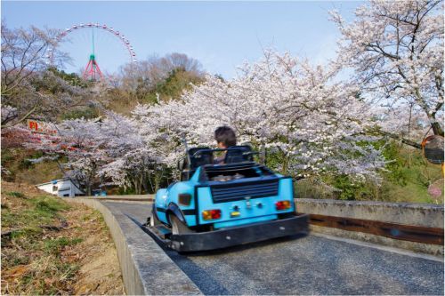 ▲F-1カートでお花見ドライブ