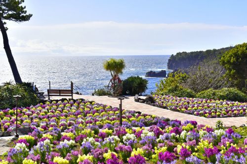 城ケ崎海岸の絶景とフラワーガーデン