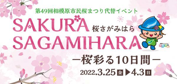 第49回相模原市民桜まつりの代替イベント「SAKURA SAGAMIHARA －桜彩る10日間－