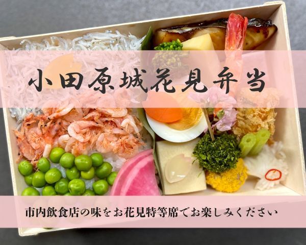 小田原城花見弁当