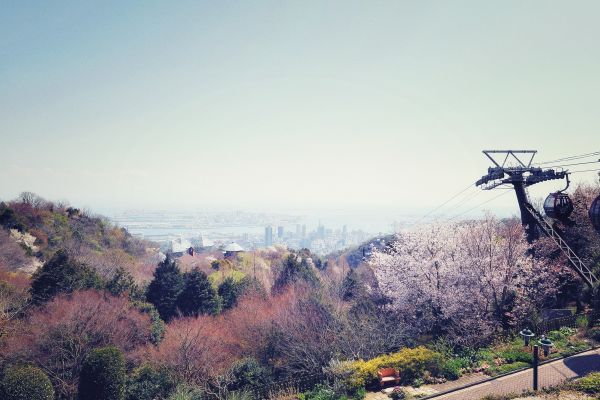 展望プラザからの山桜と神戸の景色