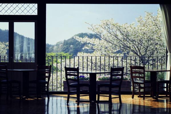レストラン「ザ・ハーブダイニング」からの山桜