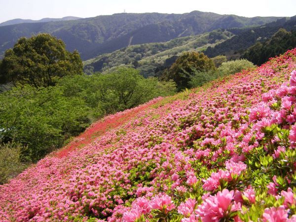 姫の沢公園