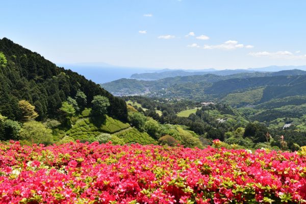 熱海市姫の沢公園