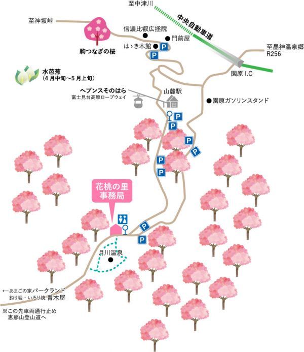 花桃MAP