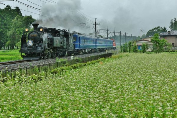 ▲倉ヶ崎SL花畑　そば  （イメージ） 大桑駅最寄り