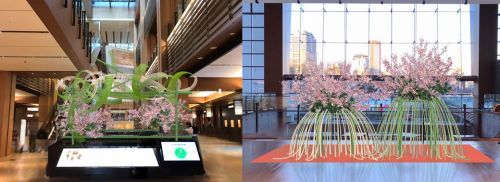 左：イメージ「輪と輪」（ガレリア1Fツリーシャワー）、右：イメージ「桜人」（ガレリア１F　Bonpoint前）