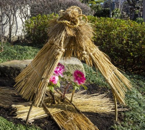 お花を模した飾り結び