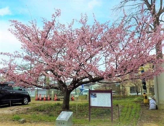 日高交流センター