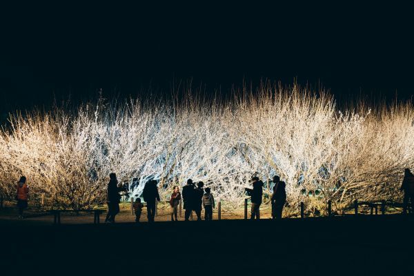 夜のライトアップ