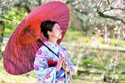 ウメの花咲く梅園で「きもの女子」に大変身！