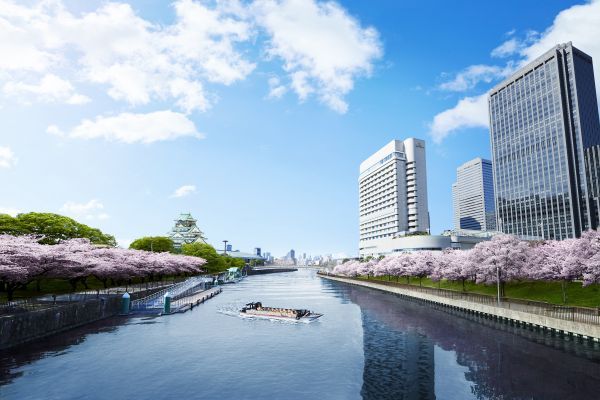 ホテルに程近い大阪城公園での桜 イメージ