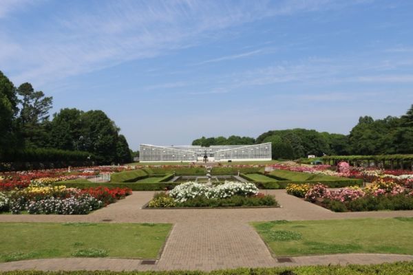 神代植物公園の様子