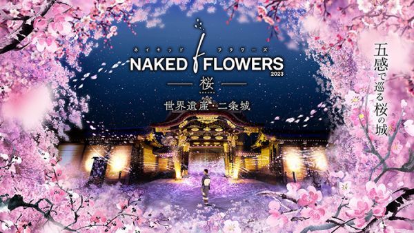 NAKED FLOWERS 2023 桜 世界遺産・二条城