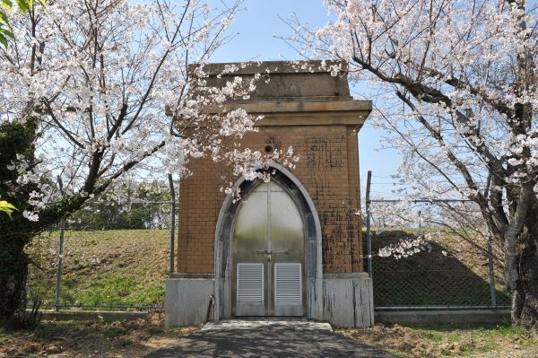 多米配水場の桜