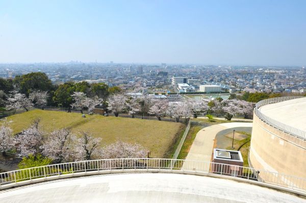 展望台からの景色