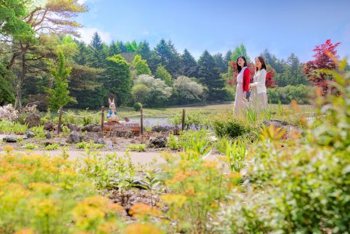 首都圏最大級のイギリス式庭園「ピーターラビット™ イングリッシュガーデン」1