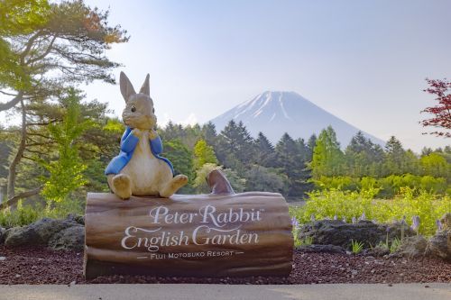 首都圏最大級のイギリス式庭園「ピーターラビット™ イングリッシュガーデン」3