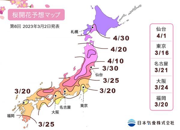 第6回 2023年桜開花予想マップ