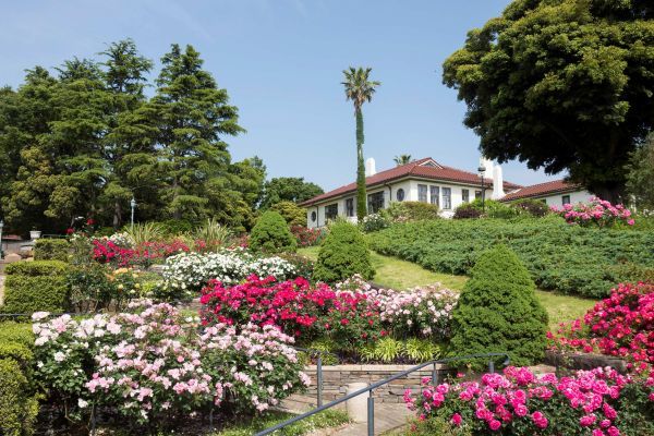 港の見える丘公園バライメージ