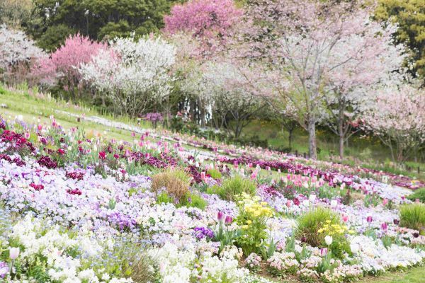 里山ガーデンバライメージ