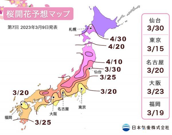 第7回 2023年桜開花予想マップ