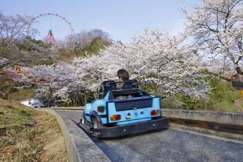 F-1カートで“お花見ドライブ”